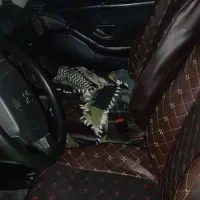 پژو 405مدل84|خودرو سواری و وانت|سراوان, |دیوار