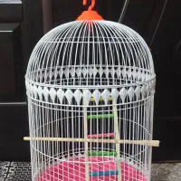 قفس پرنده نوی نو بدون پایه