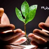 ترک اعتیاد م سیگار بدون درد و خماری