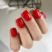 نیاز به مدل کاشت ناخن ژل روسی رایگان و تخصصی|خدمات آرایشگری و زیبایی|تهران, اختیاریه|دیوار