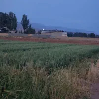 2300-متر-زمین-کشاورزی-روستای-دشت