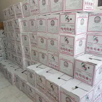 استخدام نیروی خانم