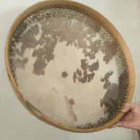 ۲عددبلیط اجرای موسیقی زنده امشب