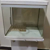 آکواریوم delsa