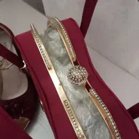 ست کیف و کفش مجلسی|کیف، کفش، کمربند|اردکان, |دیوار