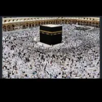 فروش دو عدد فیش عمره مفرده آماده اعزام