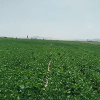 زمین-کشاورزی