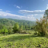 فروش زمین روستایی ۴۰۰۰ متری در منطقه کوهپایه ای|فروش زمین و ملک کلنگی|رشت, گیل|دیوار