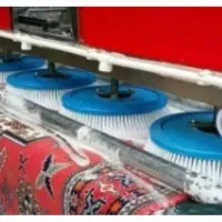 قالیشویی محمد