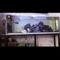 آکواریوم آبشور