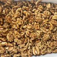 تخمه کدو آجیل چهار مغز خرما کشمش بادوم زمینی پخش|عمده‌فروشی|رباط‌کریم, نصیرشهر|دیوار