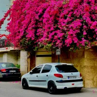 فروش پژو ۲۰۶ تیپ ۵ مدل ۹۶