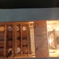 دستگاه جوجه کشی نیمه اتومات