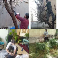 باغبانی سم پاشی گل کاری هرس کاری سمپاشی سوسک،شته|خدمات باغبانی و درختکاری|تهران, نیاوران|دیوار