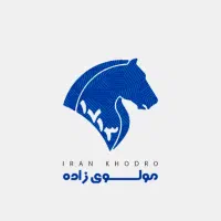 نیروی کار در جلوبندی سازی