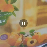 خانم منشی دریک کارخانه‌ معتبر تولیدی