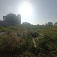 فروش فوری زمین پلاک دو از کمربندی نوشهر
