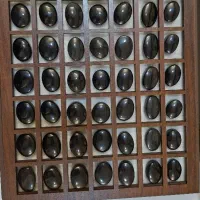 یمن کارشناسی شده