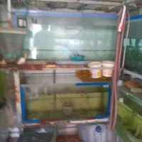فروش اکواریوم برای تکثیر ماهی