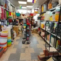 گلدان پلاستیکی رنگی|گل و گیاه طبیعی|تهران, افسریه جنوبی|دیوار
