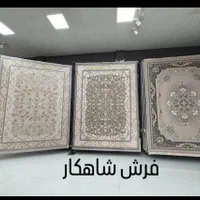 انواع فرش های 1200شانه تراکم 3600برند جردن 12متری|فرش|شیراز, شهرک سراج‎|دیوار