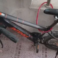 دوچرخه حرفه ای