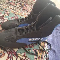 کفش بوکس آبی سایز ۴۳