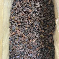 کشمش بیدانه آفتابی پلوئی|خوردنی و آشامیدنی|تاکستان, |دیوار