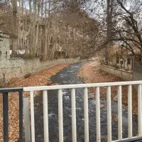 کالا کارت کالا پی