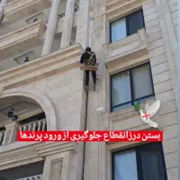 کارباطناب پیچ رولپلاک ارتفاع شستشونما بندباز راپل|خدمات پیشه و مهارت|مشهد, آبکوه|دیوار