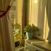 تعمیر یخچال لباسشویی تخصصی منصف شبانه روزی