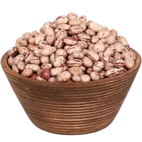 لوبیاچیتیدرجهیک