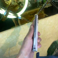 16pro|موبایل|نیشابور, هفده شهریور|دیوار