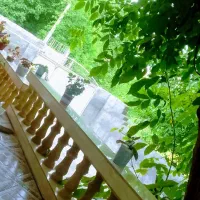 سوئیت اجاره ای در الشتر