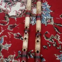 نی دندونی عالی ونو
