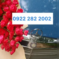 رایتل|سیم‌کارت|بندر انزلی, دهکده ساحلی|دیوار