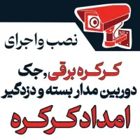 نصب و اجرای کرکره برقی ،دوربین ،دزدگیر نقد و اقساط