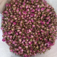 فروش گل محمدی