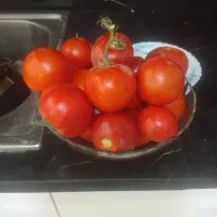 سبد گوجه