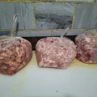 بچه فیله|خوردنی و آشامیدنی|تهران, سجاد|دیوار
