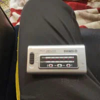 دیاپا زون  برقی