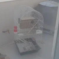 قفس بزرگ با تمامی وسایل