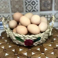 تخم مرغ محلی تازه