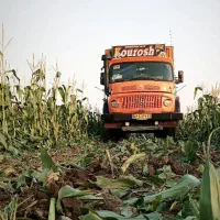 بنز تک باری|خودرو سنگین|کوهدشت, |دیوار