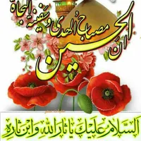 کارت ملی بنام  دهناشی یا  دیناشی پیدا شده