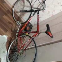 دوچرخه کورسی ترینیکس