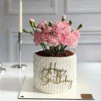 کیک تولد خانگی