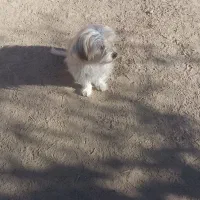 دوعددتوله به فروش میرسه به دلیل نداشتن مکان