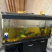 فروش اکواریوم لبه گرد با لوازم