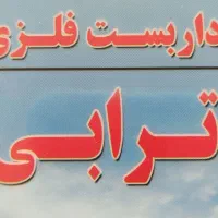 راننده نیسان